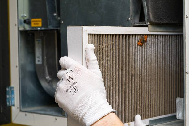 Best Air Duct Inspection  in Paloma Creek South, TX
