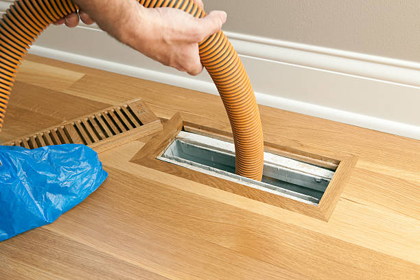 Best HVAC Maintenance and Cleaning  in Paloma Creek South, TX