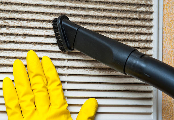 Best Residential Air Duct Cleaning  in Paloma Creek South, TX